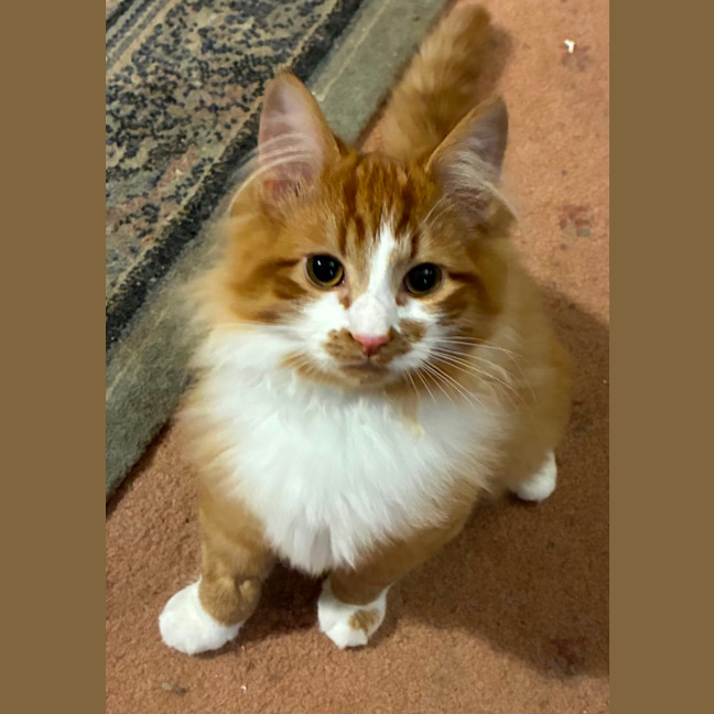 Photo of Benny