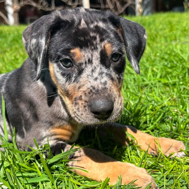 Photo of Kaiya