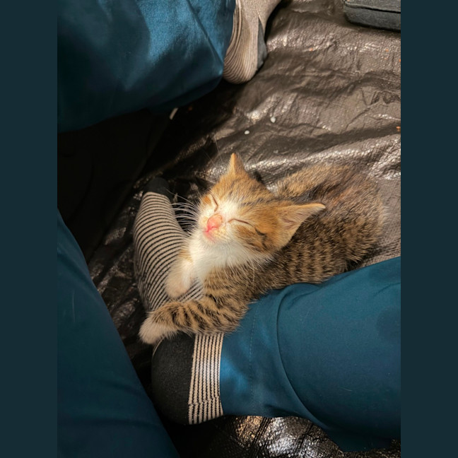 Photo of Claude