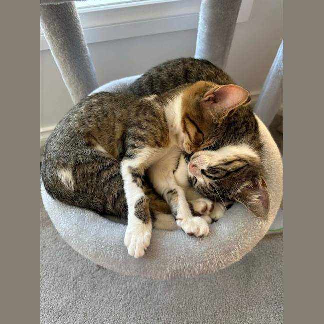 Photo of Miley & Robbie 