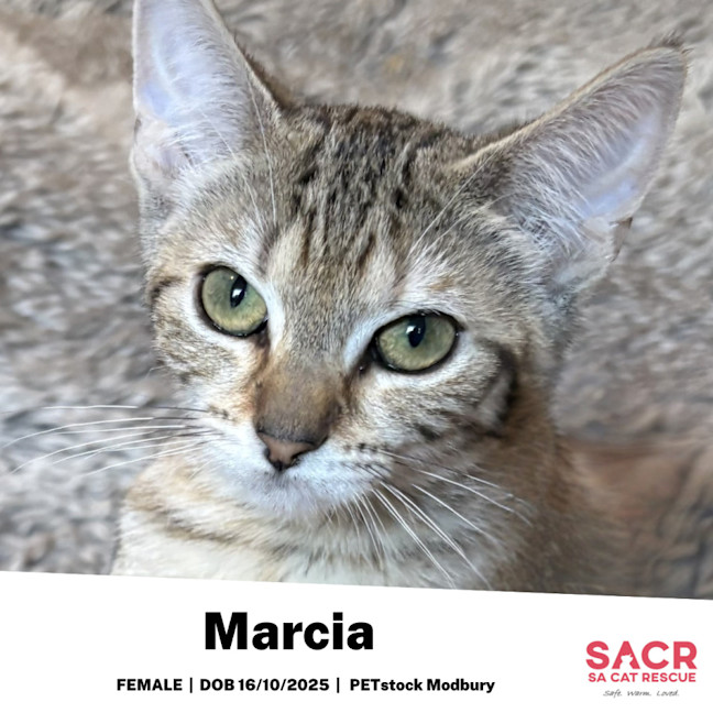 Photo of Marcia