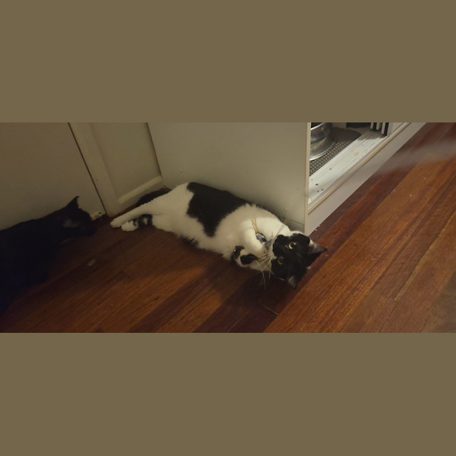 Photo of Angel