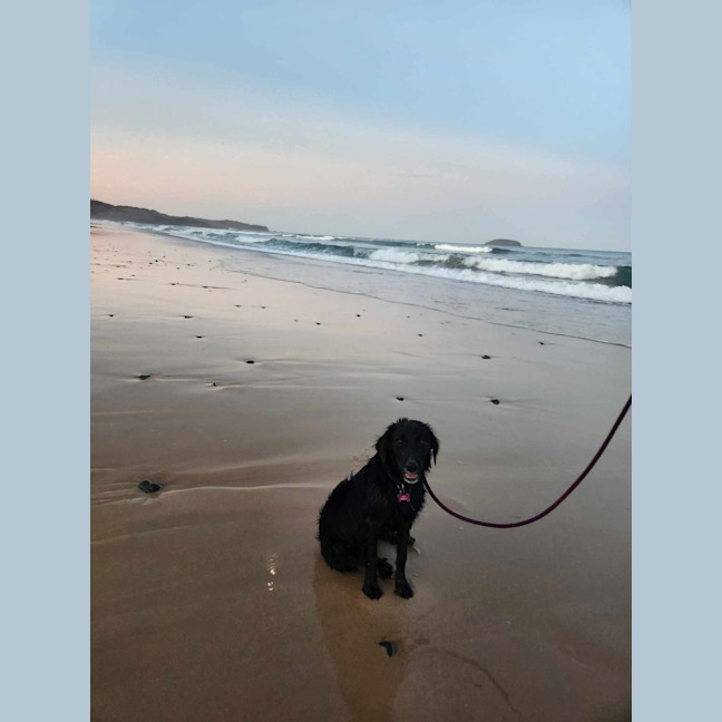 Photo of Lilly