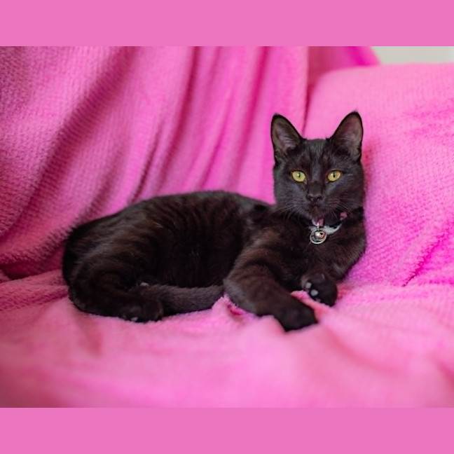 Photo of Star