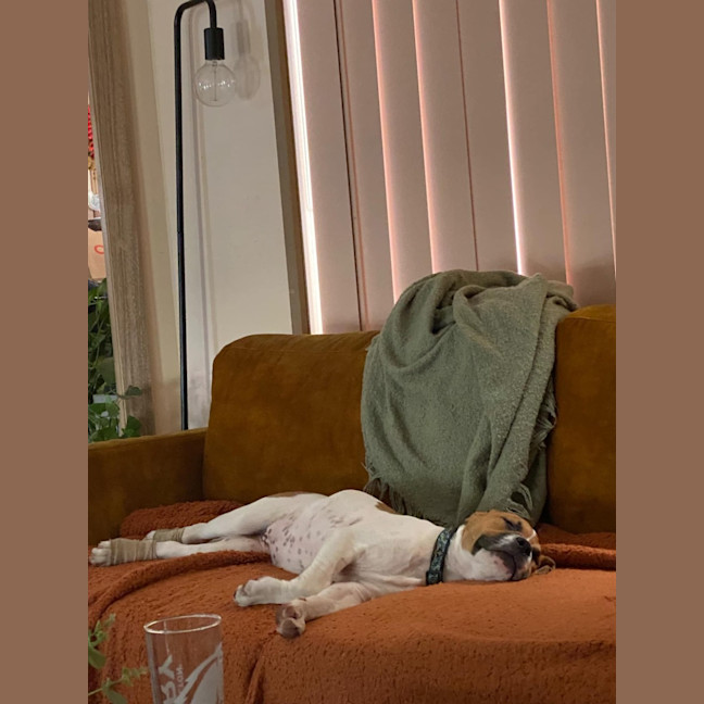 Photo of Freyja