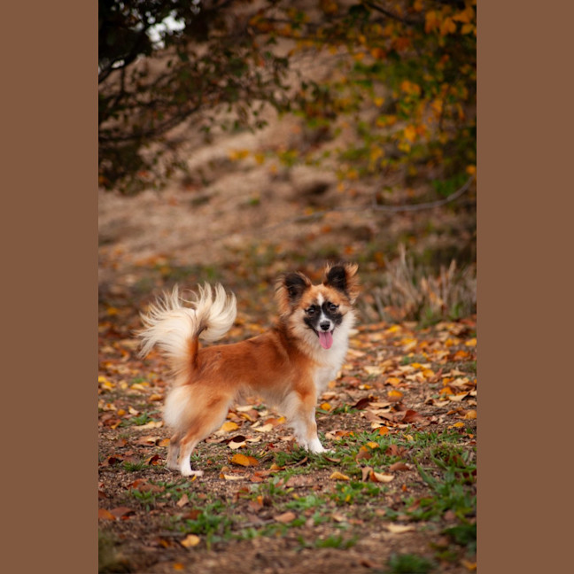 Photo of Arlo