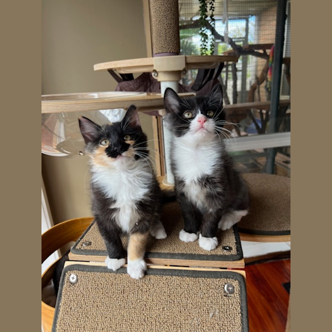 Photo of Bruce & Marigold