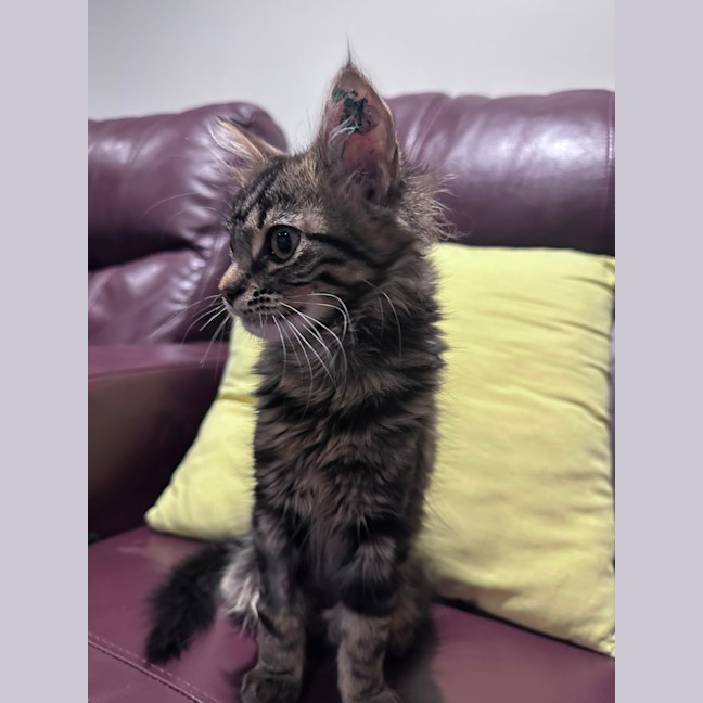 Photo of Zada