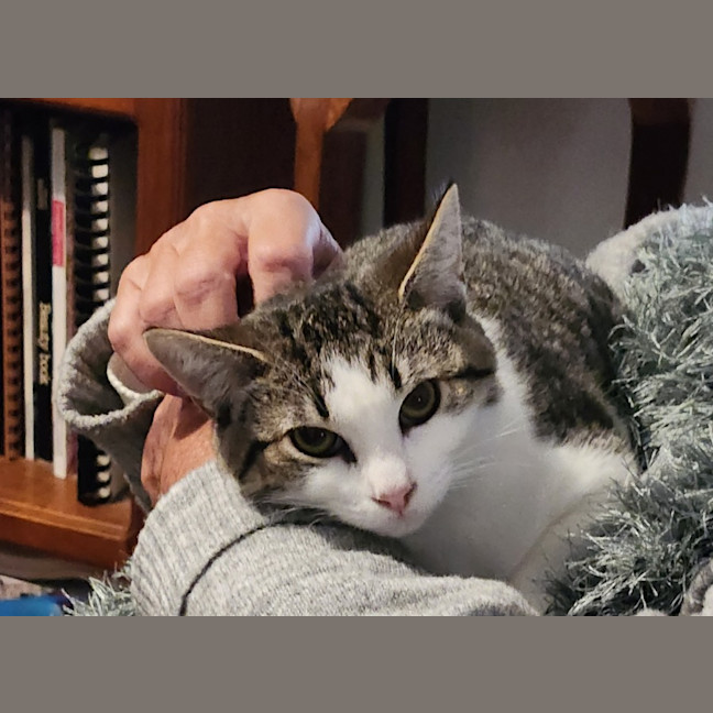 Photo of Tilly