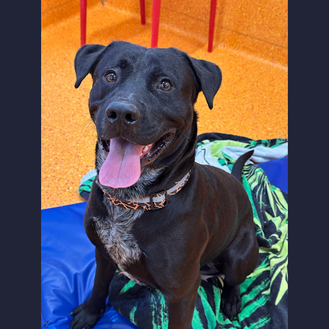 Photo of Buster