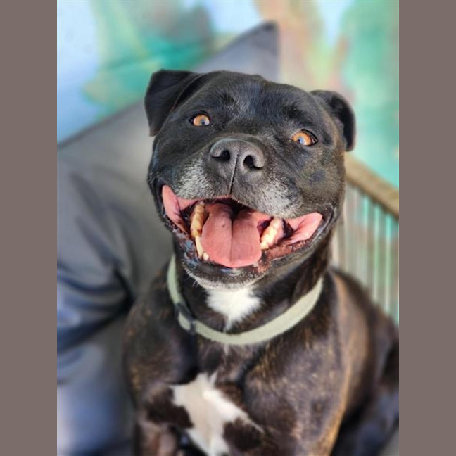 Photo of 🏈 Max 6706 🏈