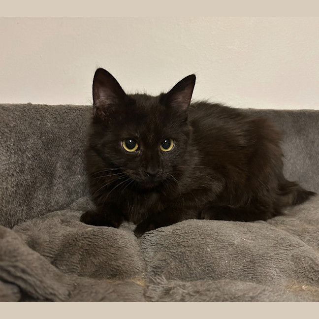 Photo of Bobbi
