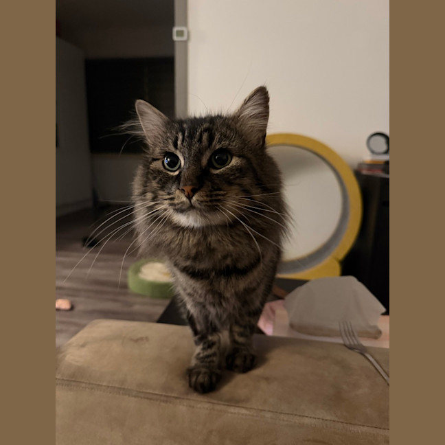 Photo of Herb