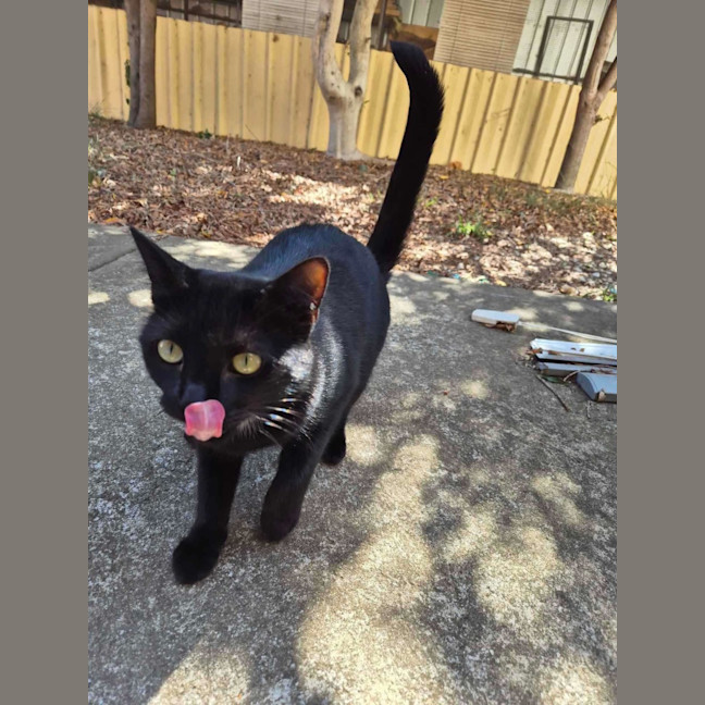 Photo of Sweet Dee   Located In Melton