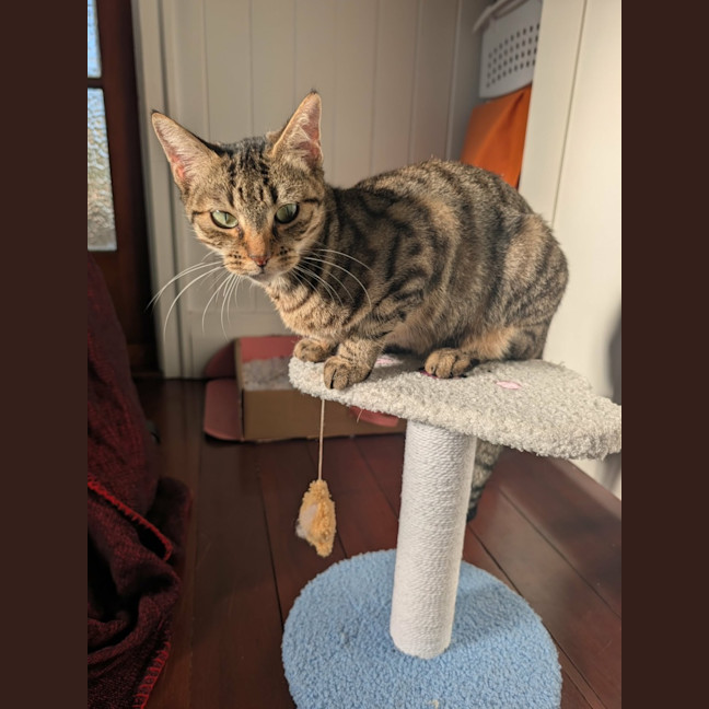 Photo of Cleopatra