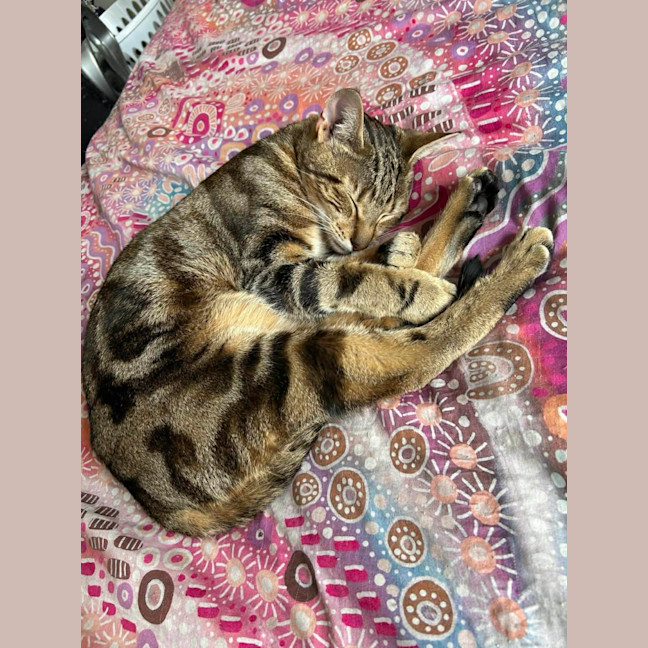 Photo of Glinda And Cruise