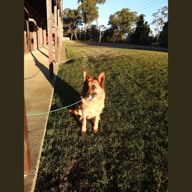 Photo of Molly