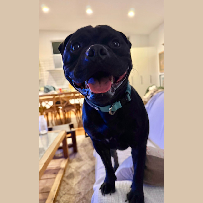 Photo of Reggie