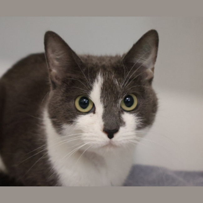 Photo of Martha Moo