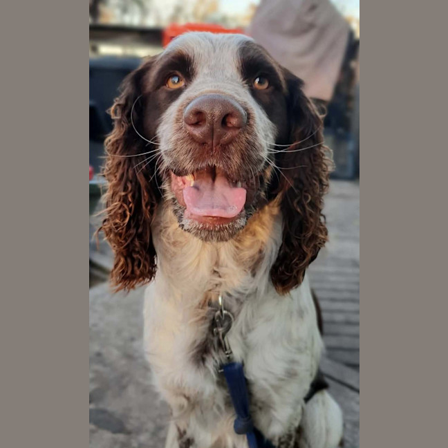 Photo of Max