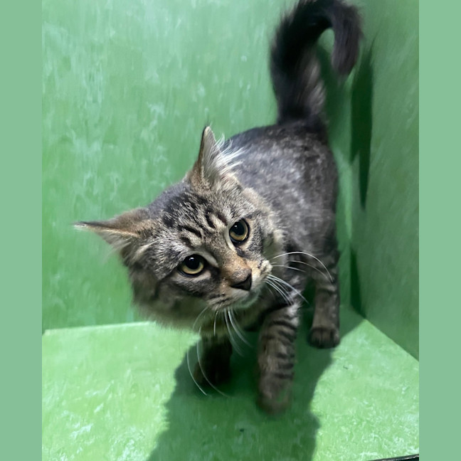 Photo of Rome