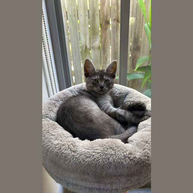 Photo of George