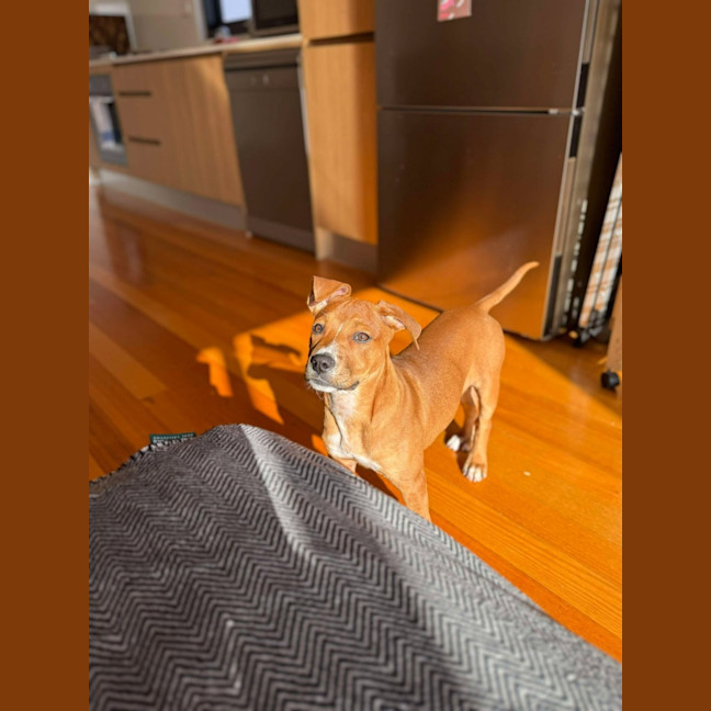 Photo of Ella