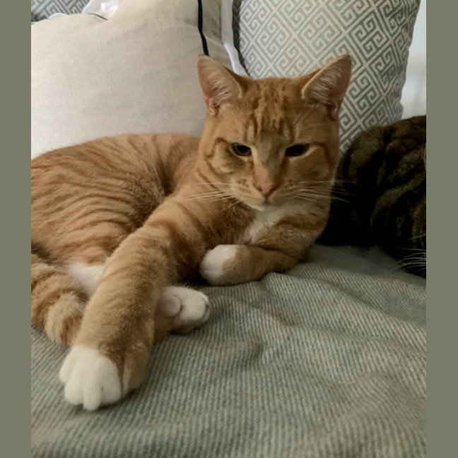 Photo of Sammy