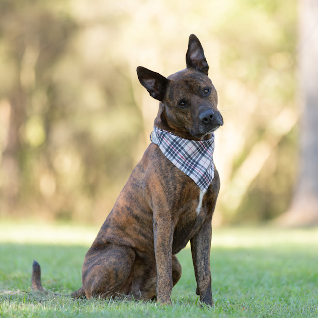Photo of Hamish