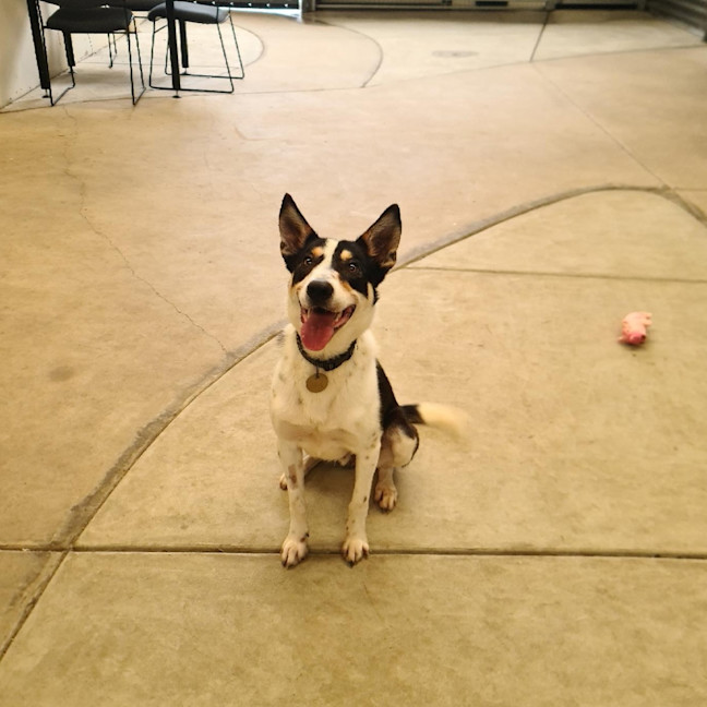 Photo of Roo