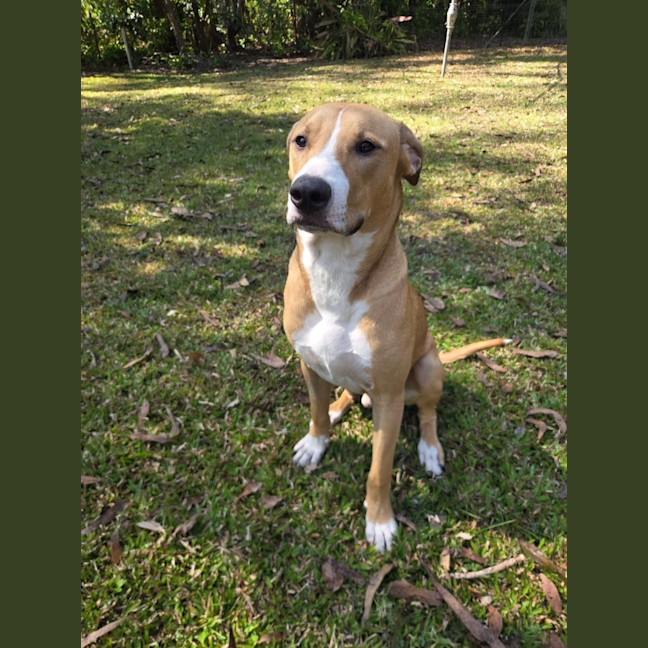 Photo of Chase 