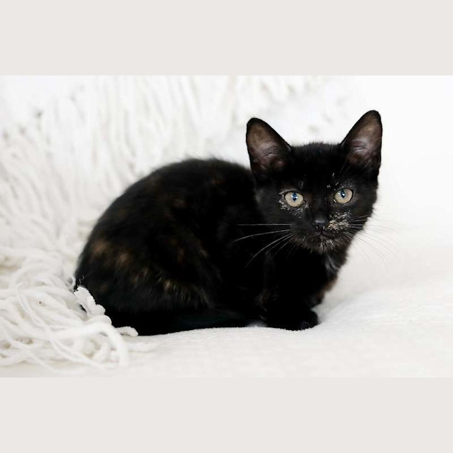 Photo of Minnie
