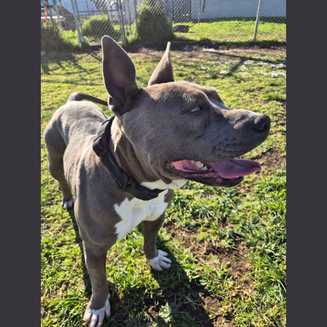Photo of Drita (64202)