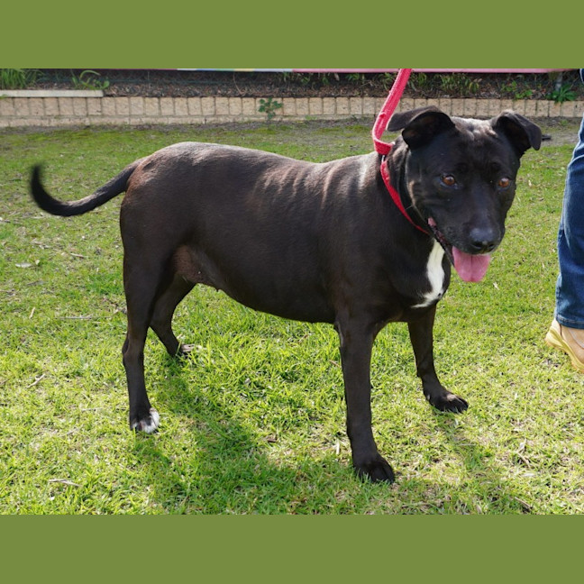 Photo of Roxy