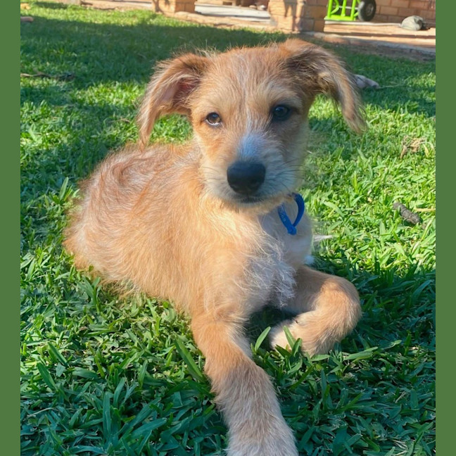 Photo of Cinnamon