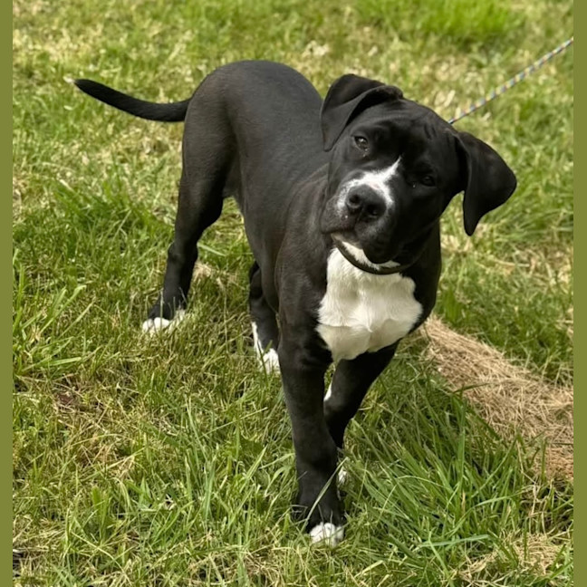 Photo of Bruce