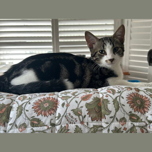 Photo of Jerry Freckle