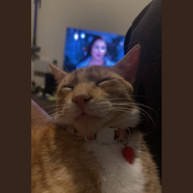 Photo of Kevin & Cheddar 