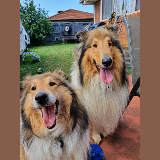 Photo of Buddy & Lilly