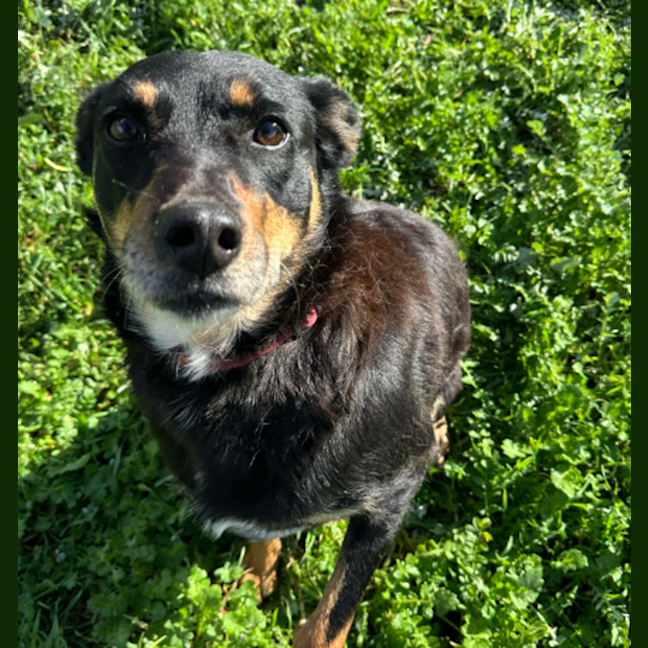 Photo of Coda