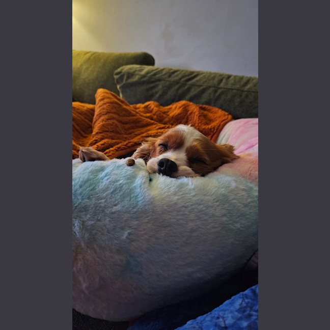 Photo of Lexi
