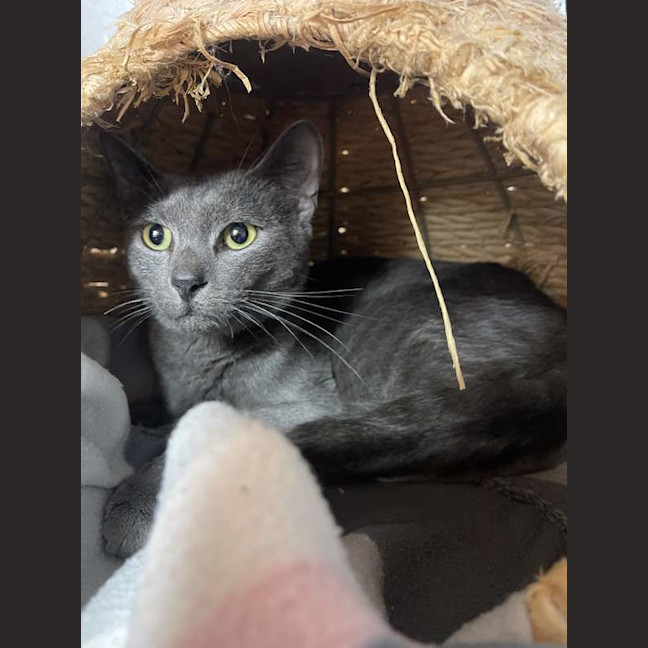 Photo of Ash
