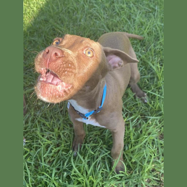 Photo of Kimiko (Now Frankie)