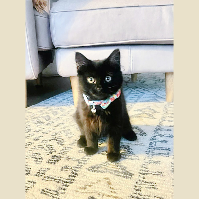 Photo of 💨Alcatraz💨