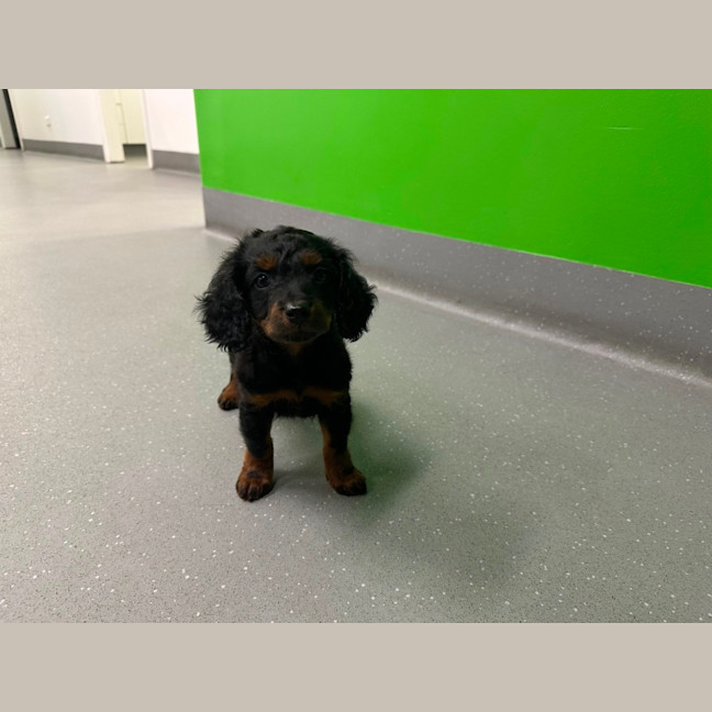 Photo of Bentley 