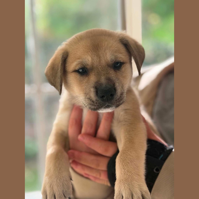 Photo of Kira
