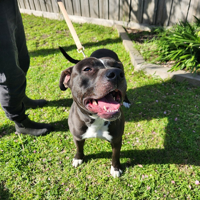 Photo of Billy   64074