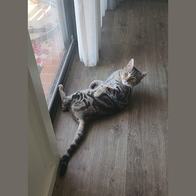 Photo of Otis