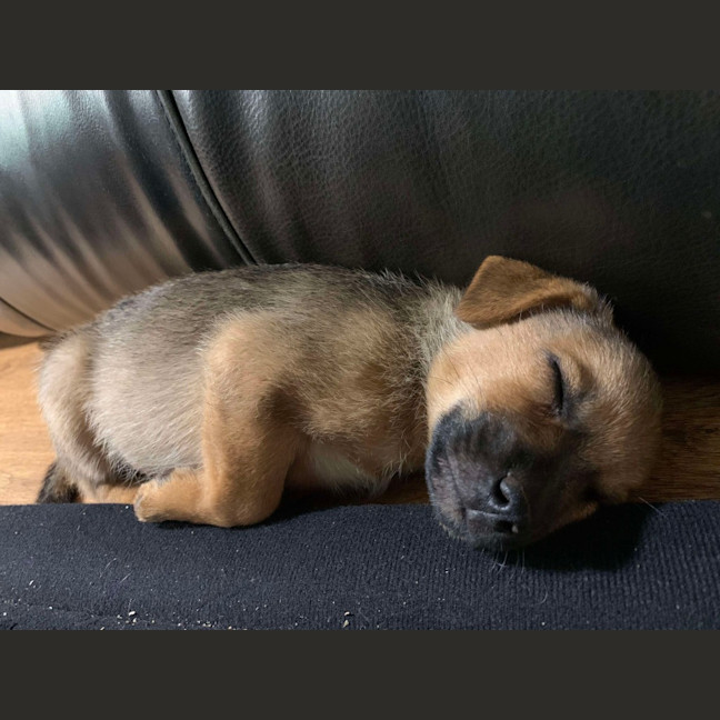 Photo of Timmy
