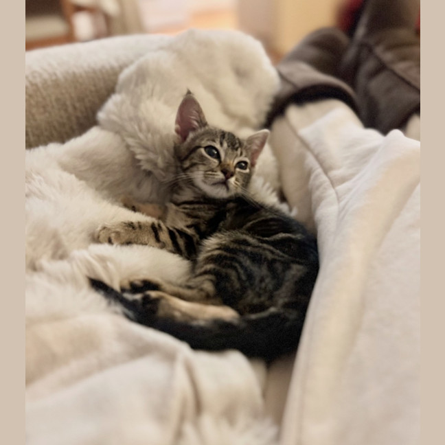Photo of Milo
